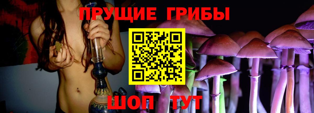 Крымск  Галлюциногенные грибы прущие грибы  Вход с VPN 